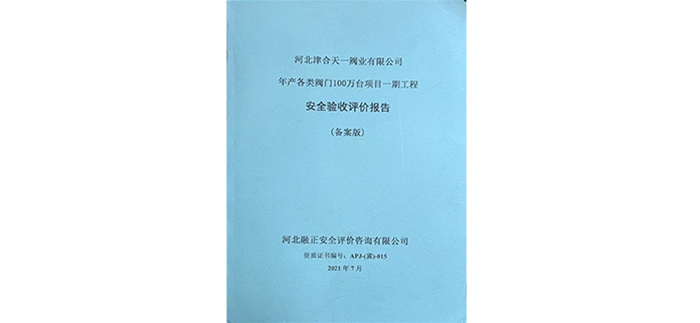 安全验收评价报告